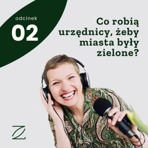 Co robią urzędnicy, żeby miasta były zielone?