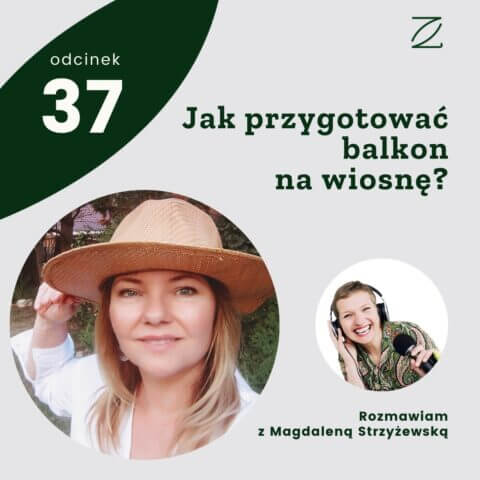 Jak przygotować balkon na wiosnę?