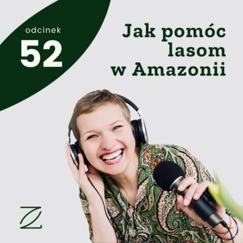 Jak pomóc lasom w Amazonii?