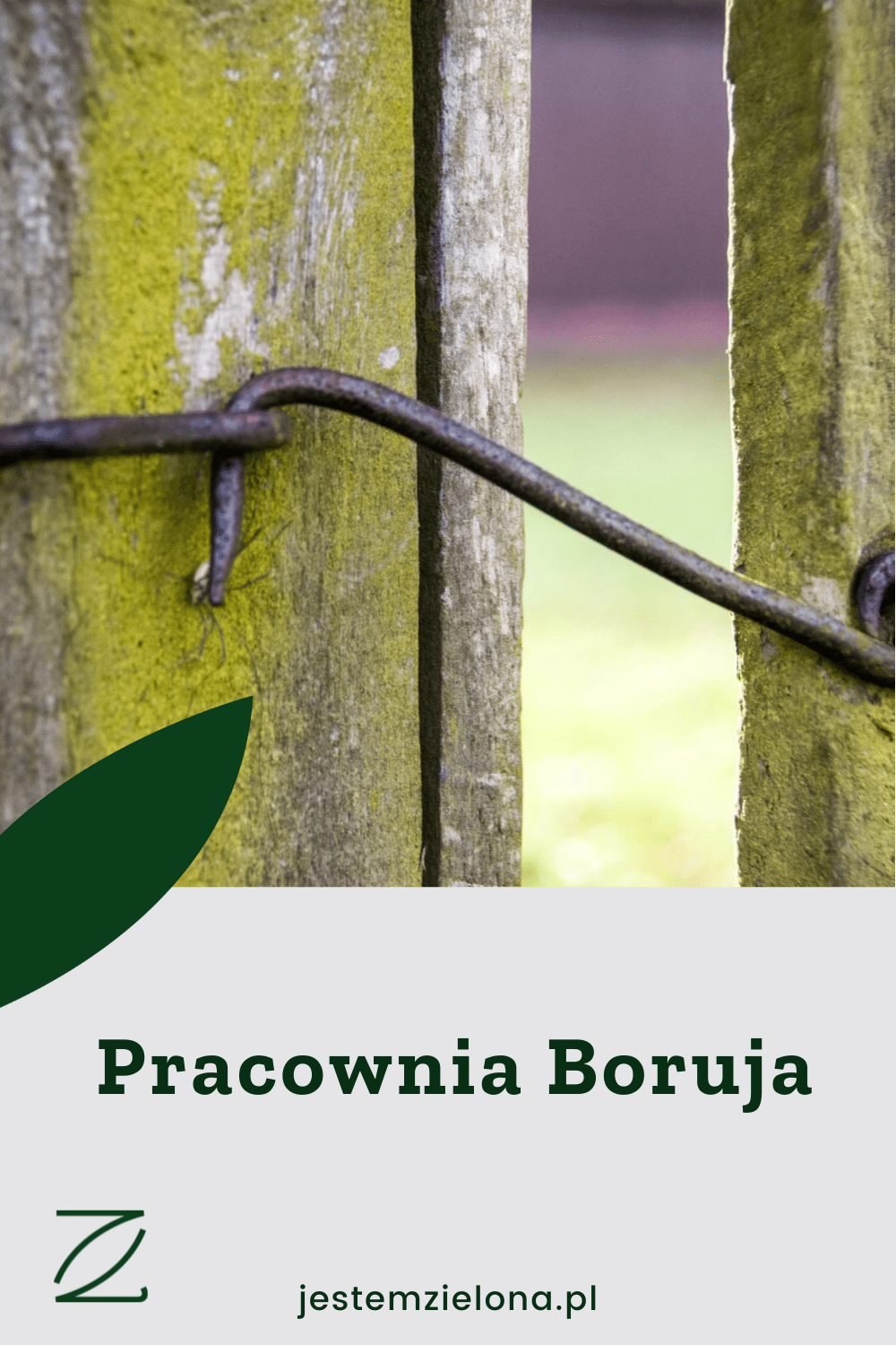 Pracownia Boruja